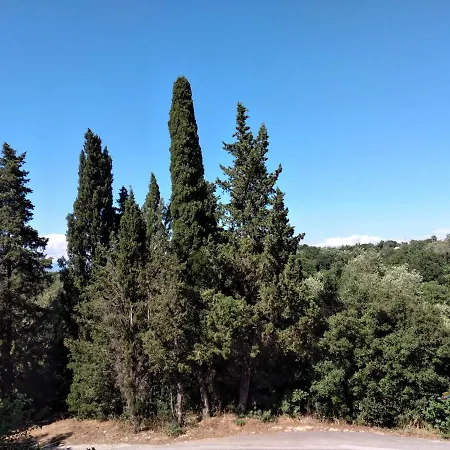 Stonemakers Hide * Karyotikon