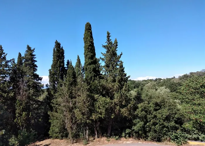 Stonemakers Hide * Καρυώτικο